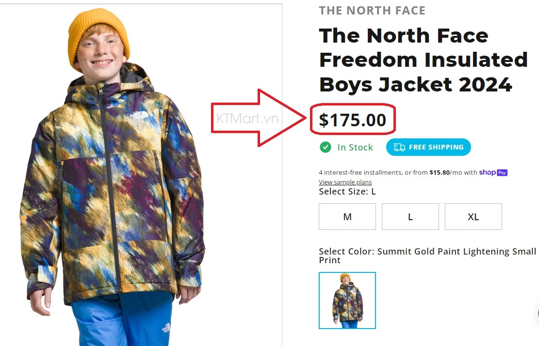 The-North-Face-Boys-Freedom-Insulated-Jacket-NF0A82XQ-size-L-12-25.jpg?v=1773371039