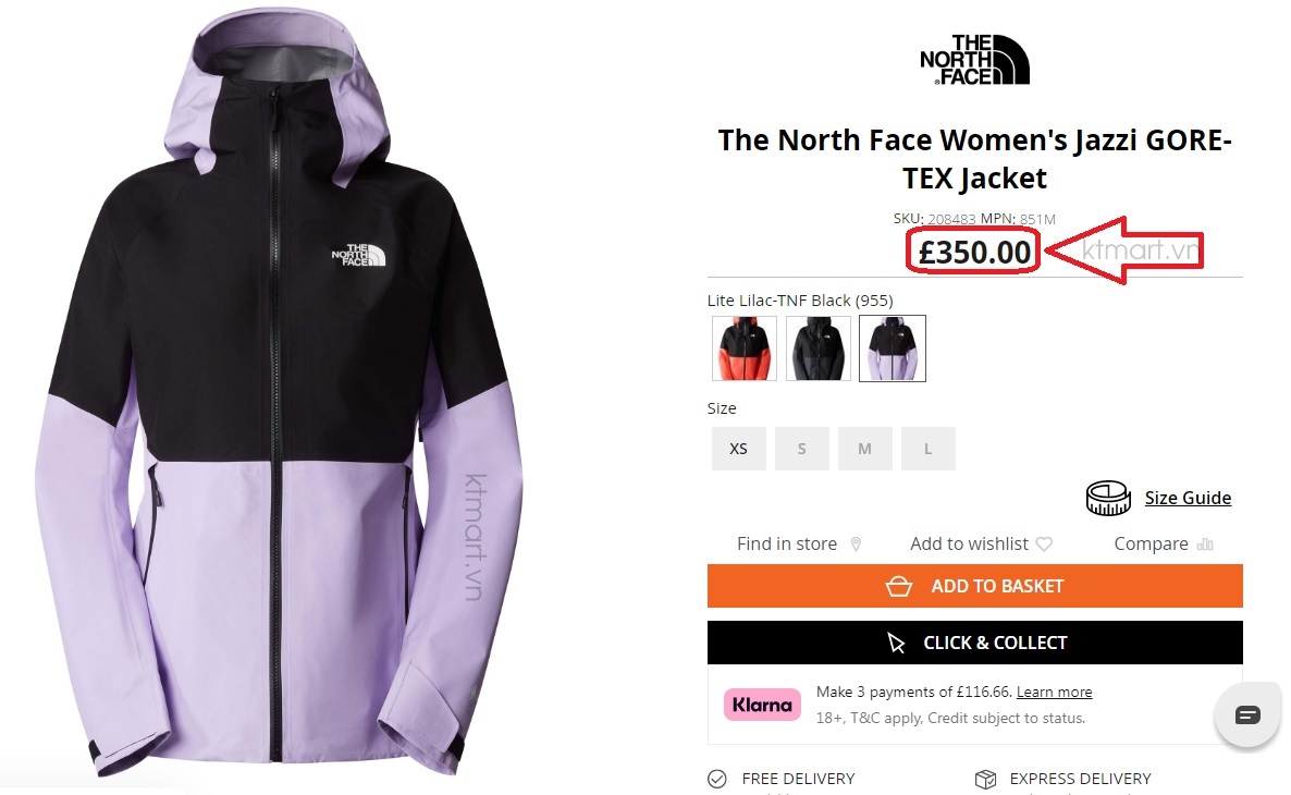 The-North-Face-Jazzi-Gore-Tex-Women-s-Waterproof-Jacket-NF0A851M-size-S-1.jpg?v=1770000135