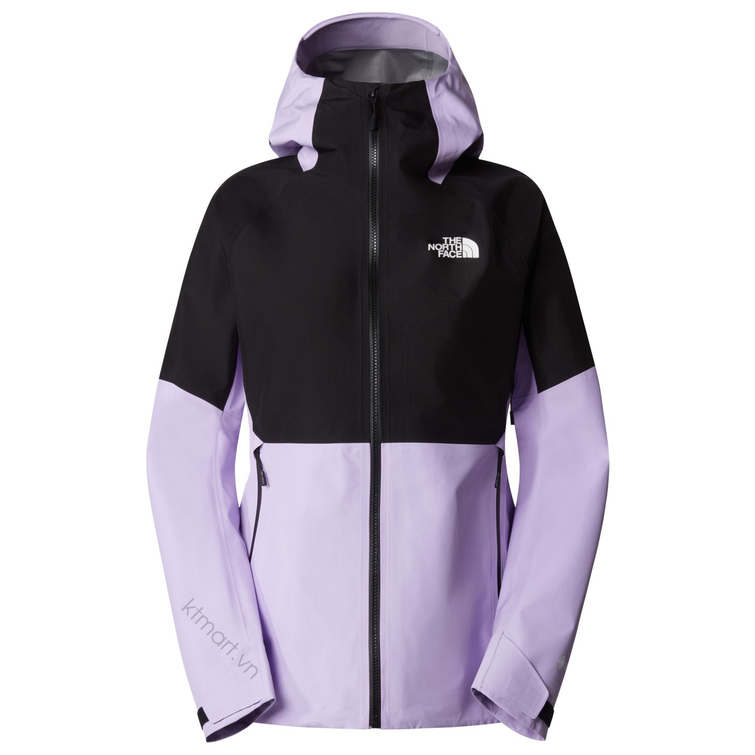 The-North-Face-Jazzi-Gore-Tex-Women-s-Waterproof-Jacket-NF0A851M-size-S-16.jpg?v=1770000212