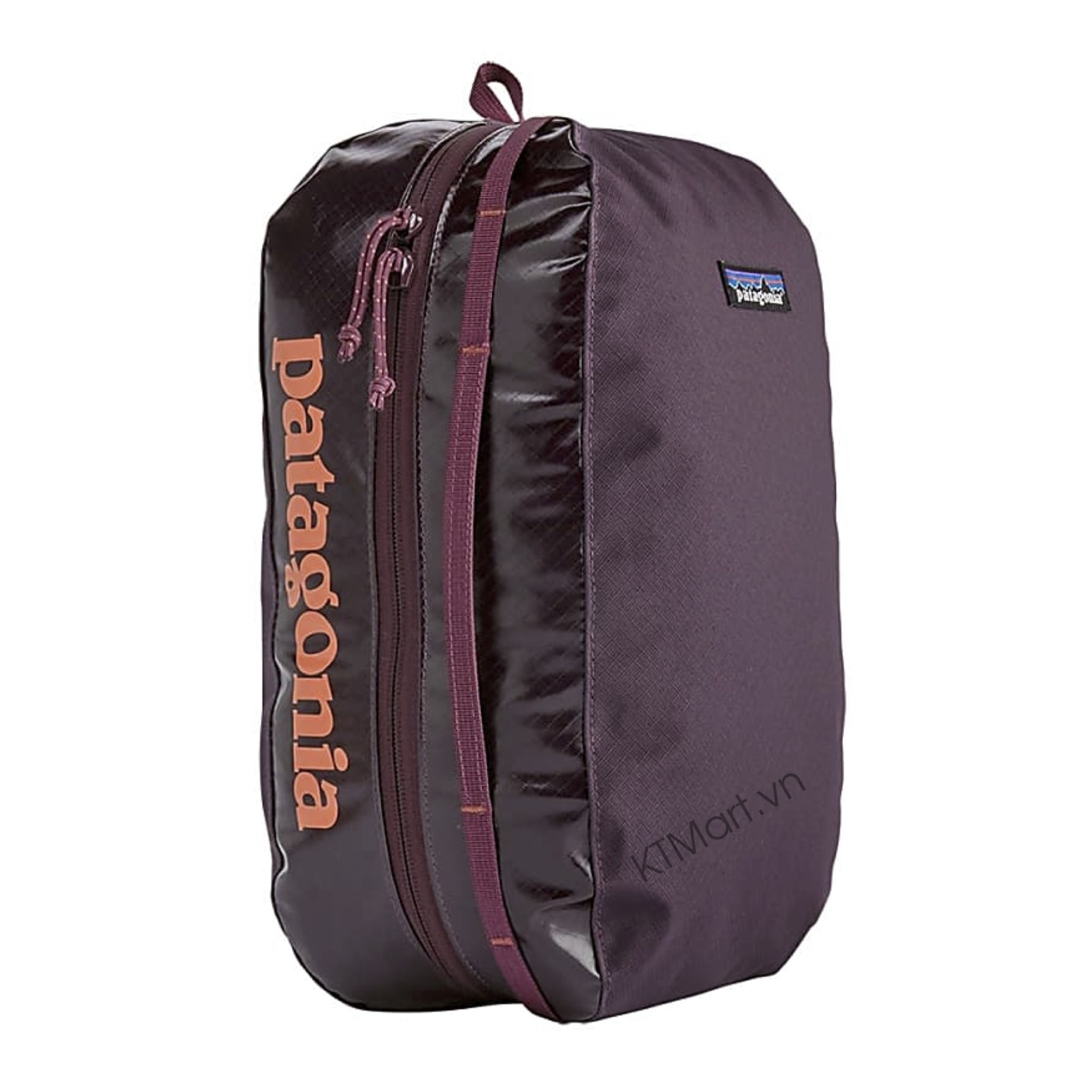 Tui-Patagonia-Black-Hole-Cube-Small-3L-49361-Patagonia-32.jpg?v=1775010032