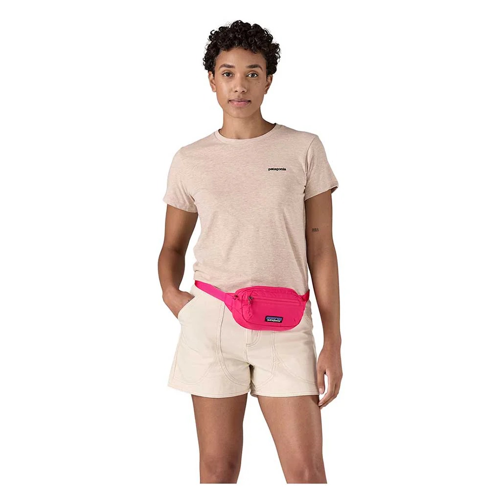 Tui-Patagonia-Terravia-Mini-Hip-Pack-1L-49448-2.jpg?v=1775097395