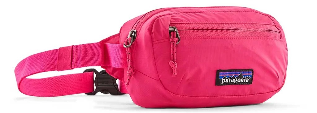 Tui-Patagonia-Terravia-Mini-Hip-Pack-1L-49448-3.jpg?v=1775097399