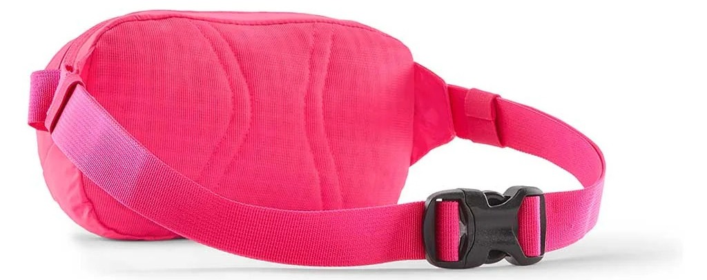 Tui-Patagonia-Terravia-Mini-Hip-Pack-1L-49448-4.jpg?v=1775097403