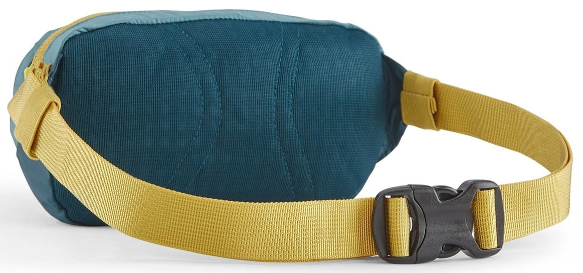 Tui-Patagonia-Terravia-Mini-Hip-Pack-1L-49448-8.jpg?v=1775097422