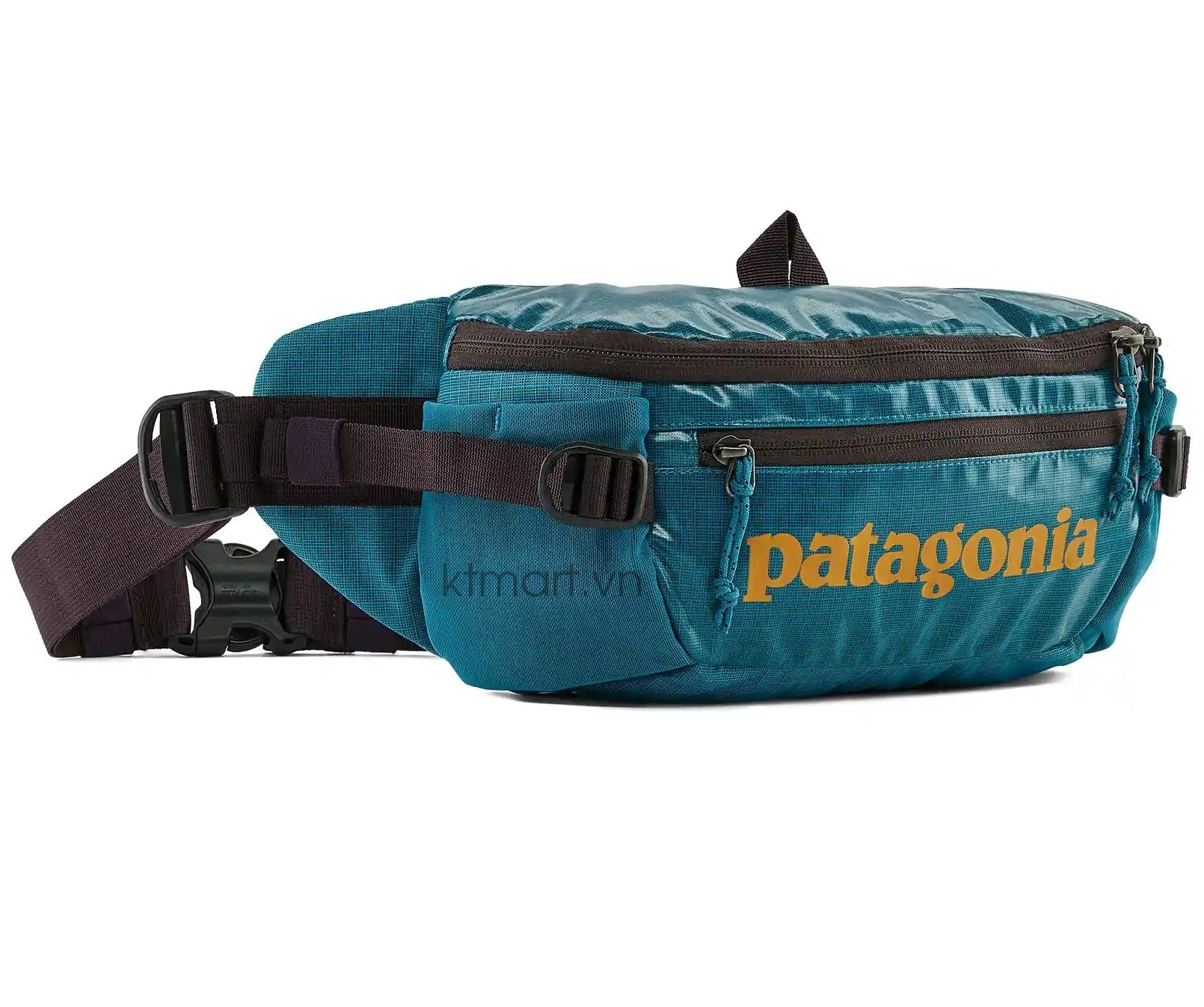 Tui-deo-cheo-Patagonia-Black-Hole-Waist-Pack-5L-49281-10.jpg?v=1772596689