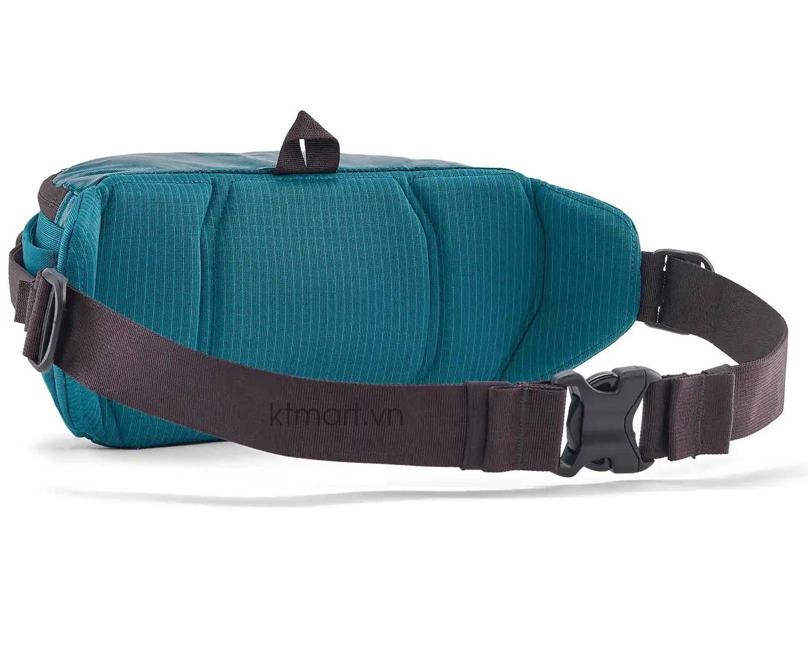 Tui-deo-cheo-Patagonia-Black-Hole-Waist-Pack-5L-49281-11.jpg?v=1772596693