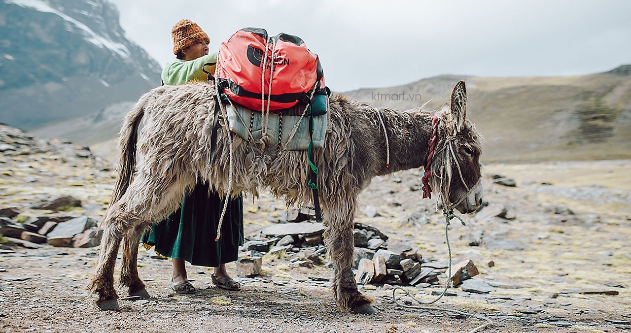 Tui-trong-71L-The-North-Face-Base-Camp-Duffel-Bag-NF0A52SA-53.jpg?v=1770693719