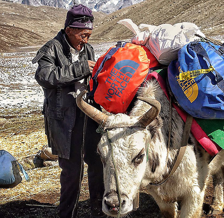 Tui-trong-71L-The-North-Face-Base-Camp-Duffel-Bag-NF0A52SA-54.jpg?v=1770693724
