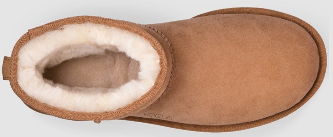 UGG-Women-s-Classic-Mini-II-Boot-1016222-size-36-23.jpg