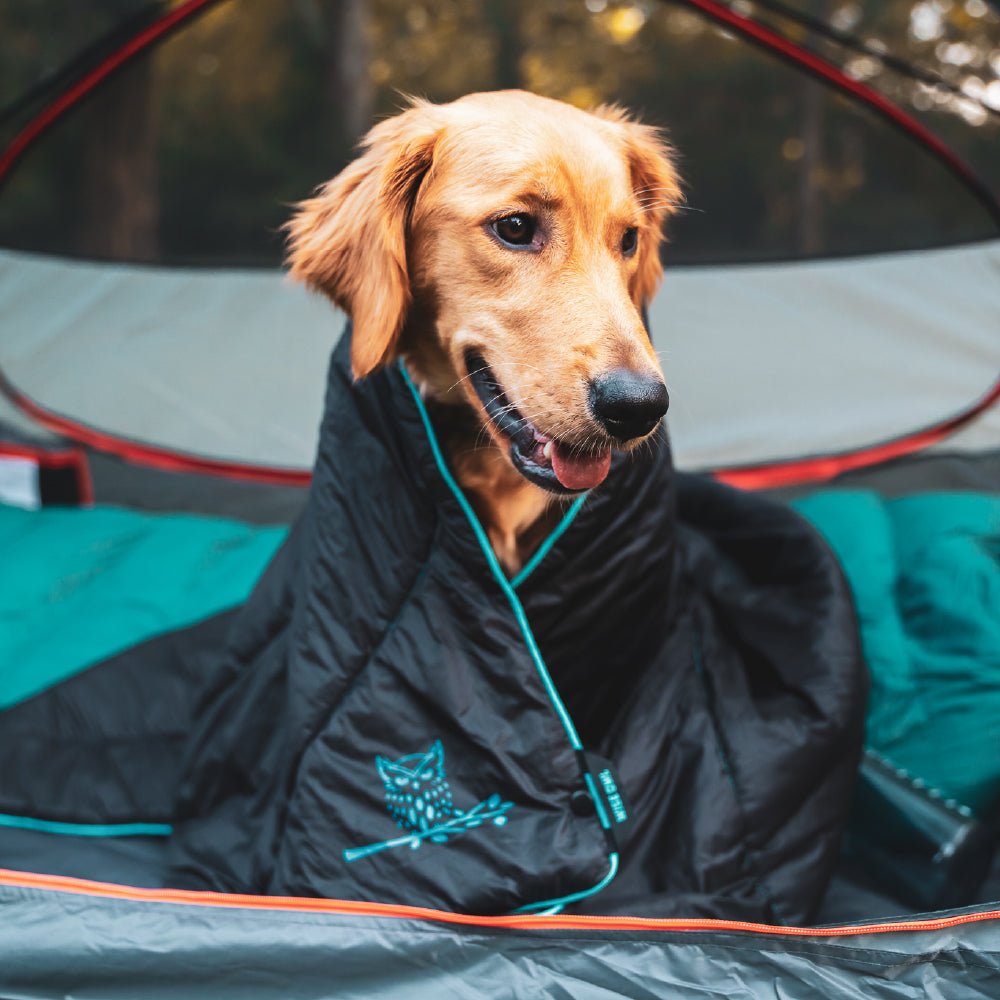Wise Owl Toasty Traveler Insulated Camping Blanket ktmart 3.jpg