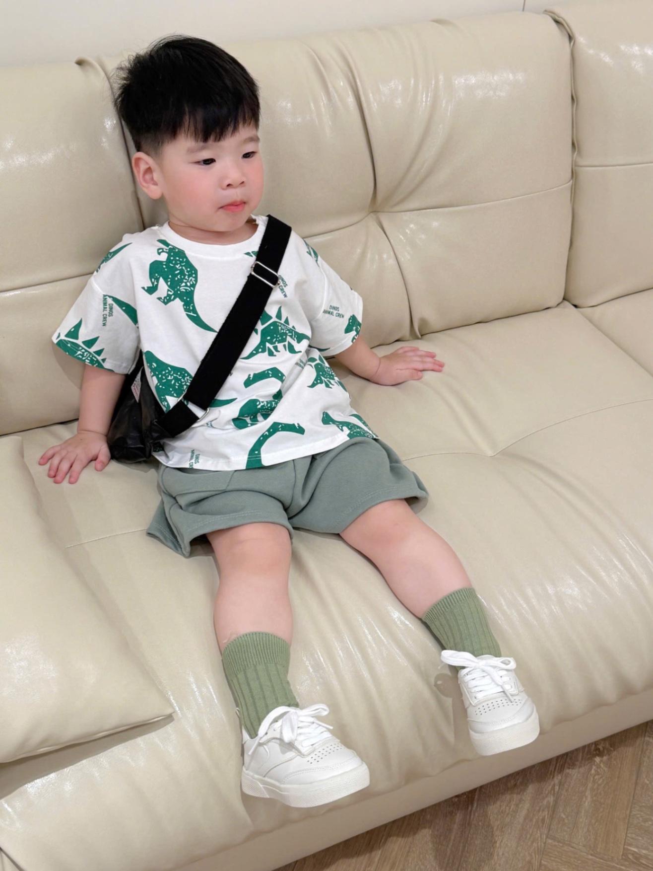 BỘ TRẮNG KHỦNG LONG XANH LÁ