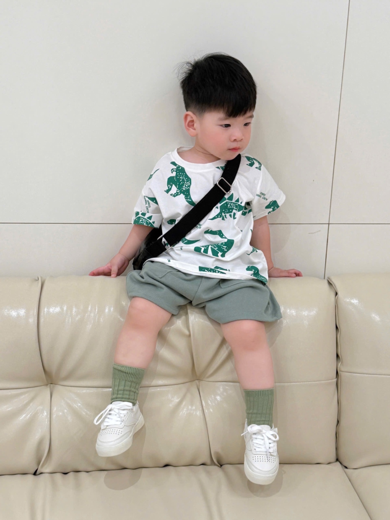 BỘ TRẮNG KHỦNG LONG XANH LÁ