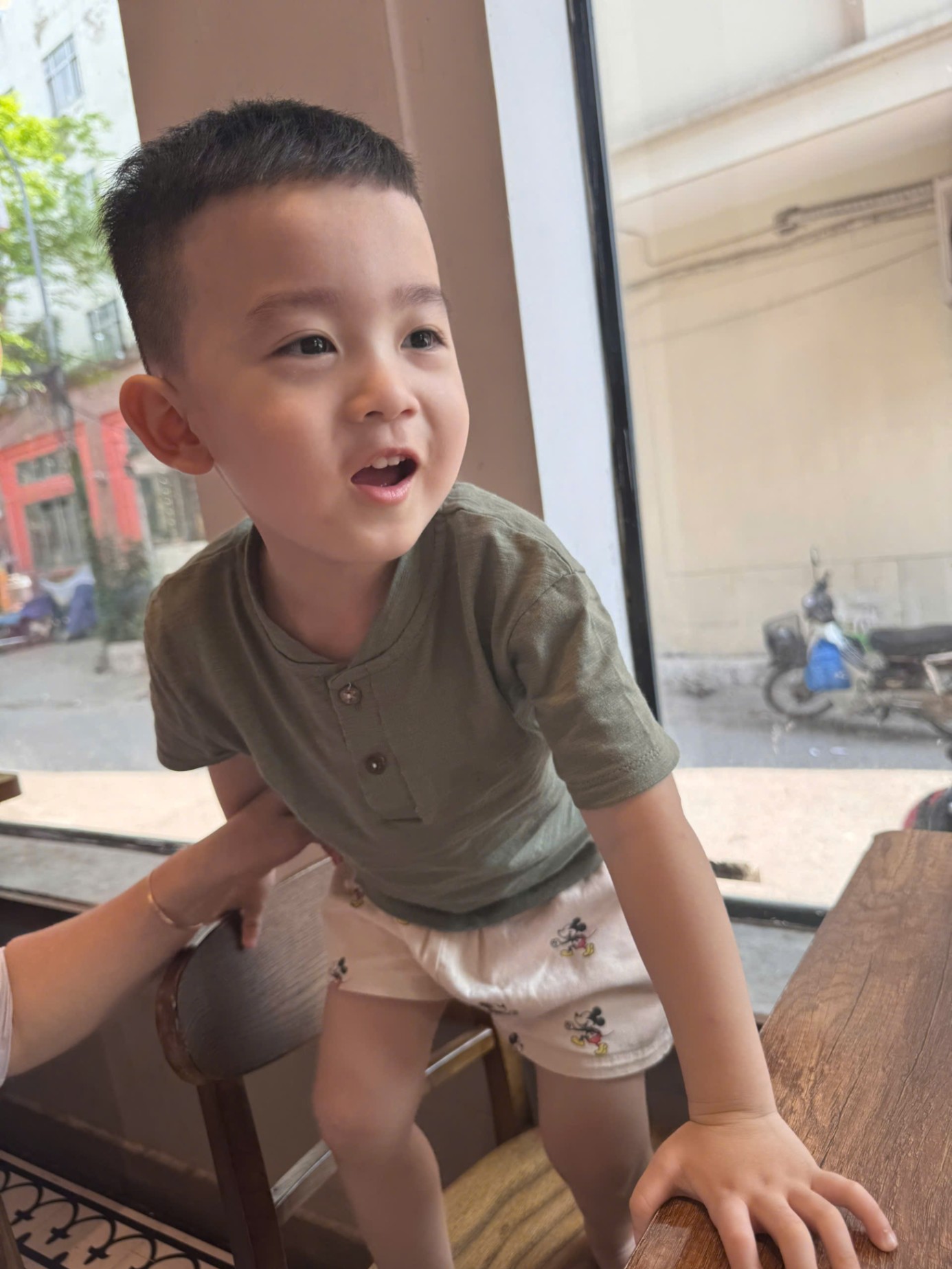 SET 3 ÁO COTTON XƯỚC CỔ TRỤ CÚC