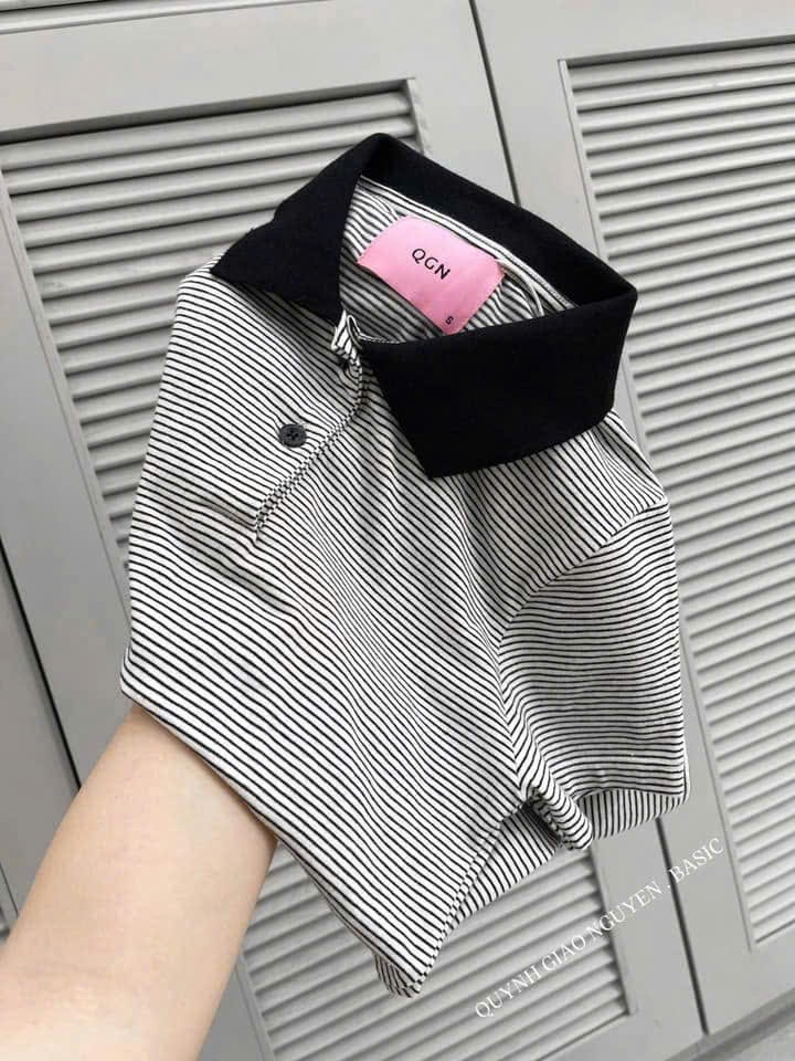 ÁO POLO ZIP KẺ 2 TONE MÀU