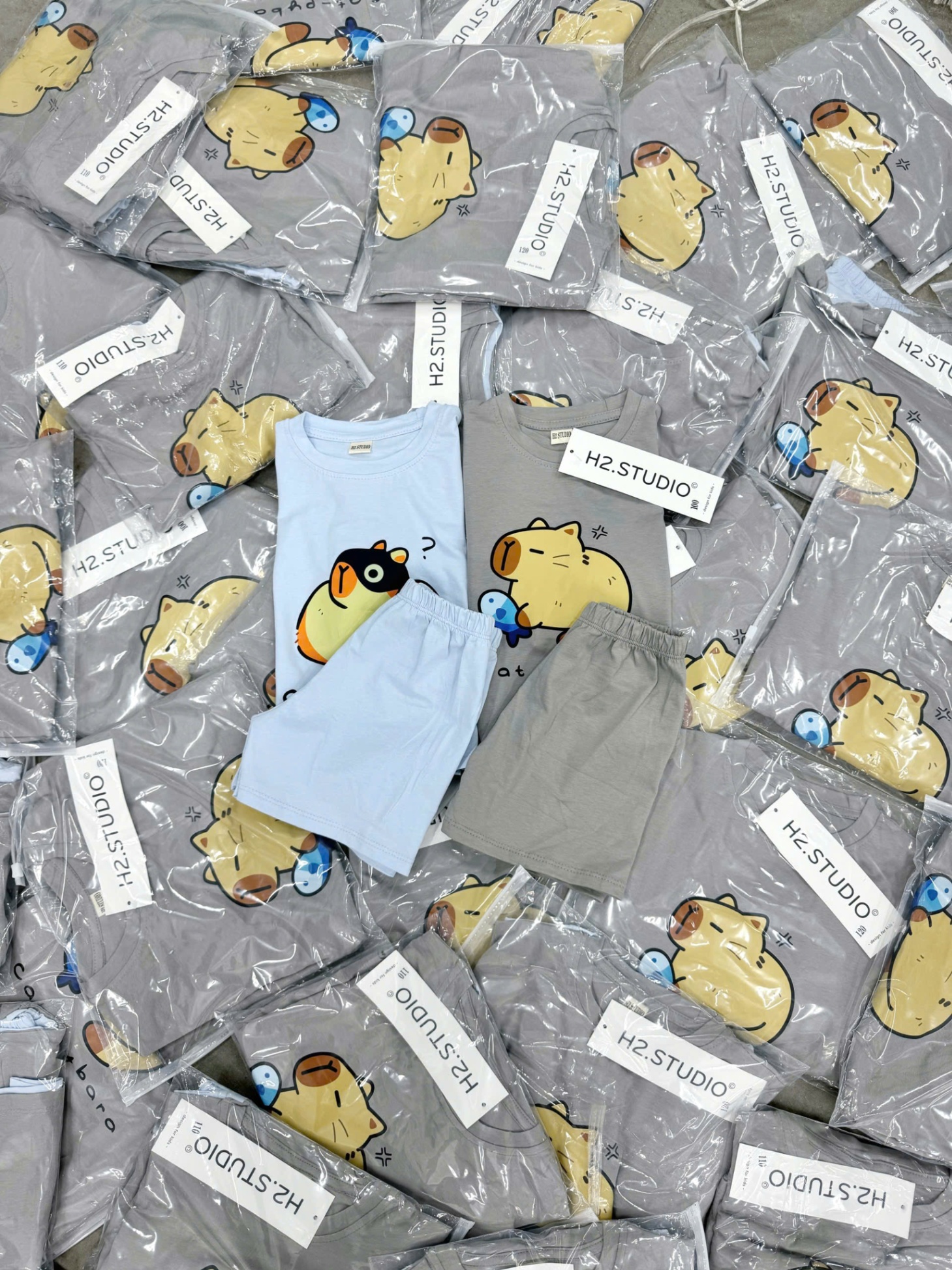 SET 2 BỘ CAPY BARA XANH XÁM CHO BÉ