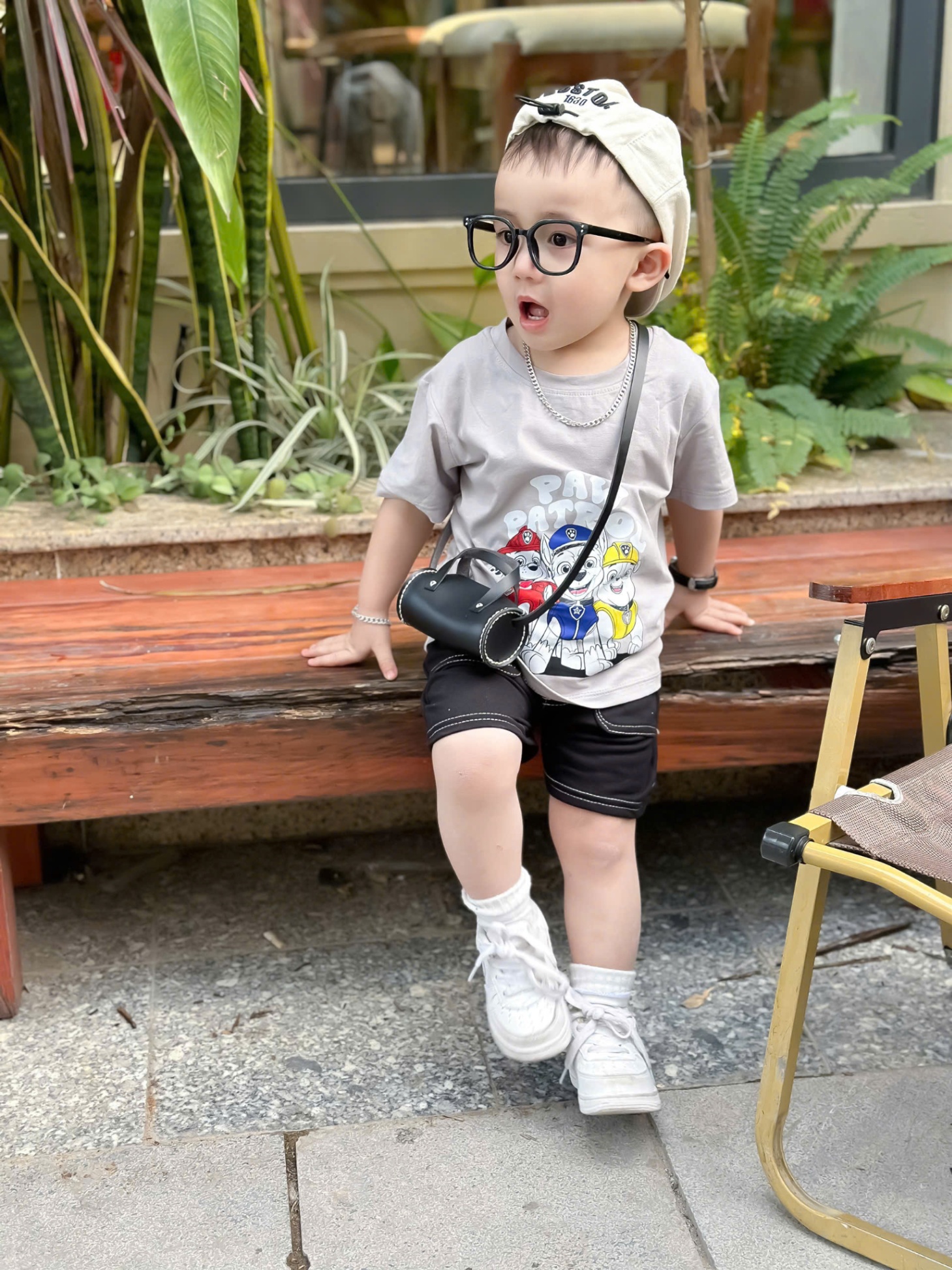 BỘ 3 BẠN CHÓ CỨU HỘ XÁM QUẦN SOOC ĐEN BT