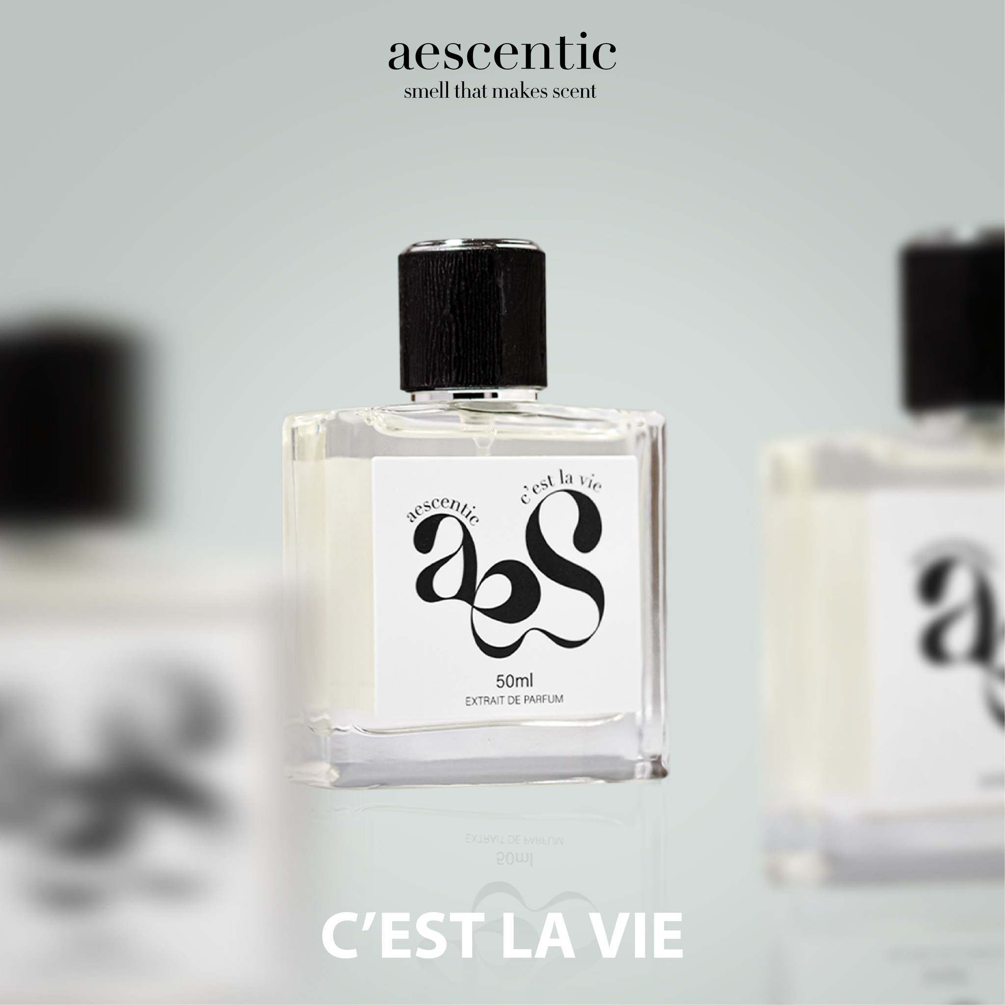 c-est-lavie.jpg