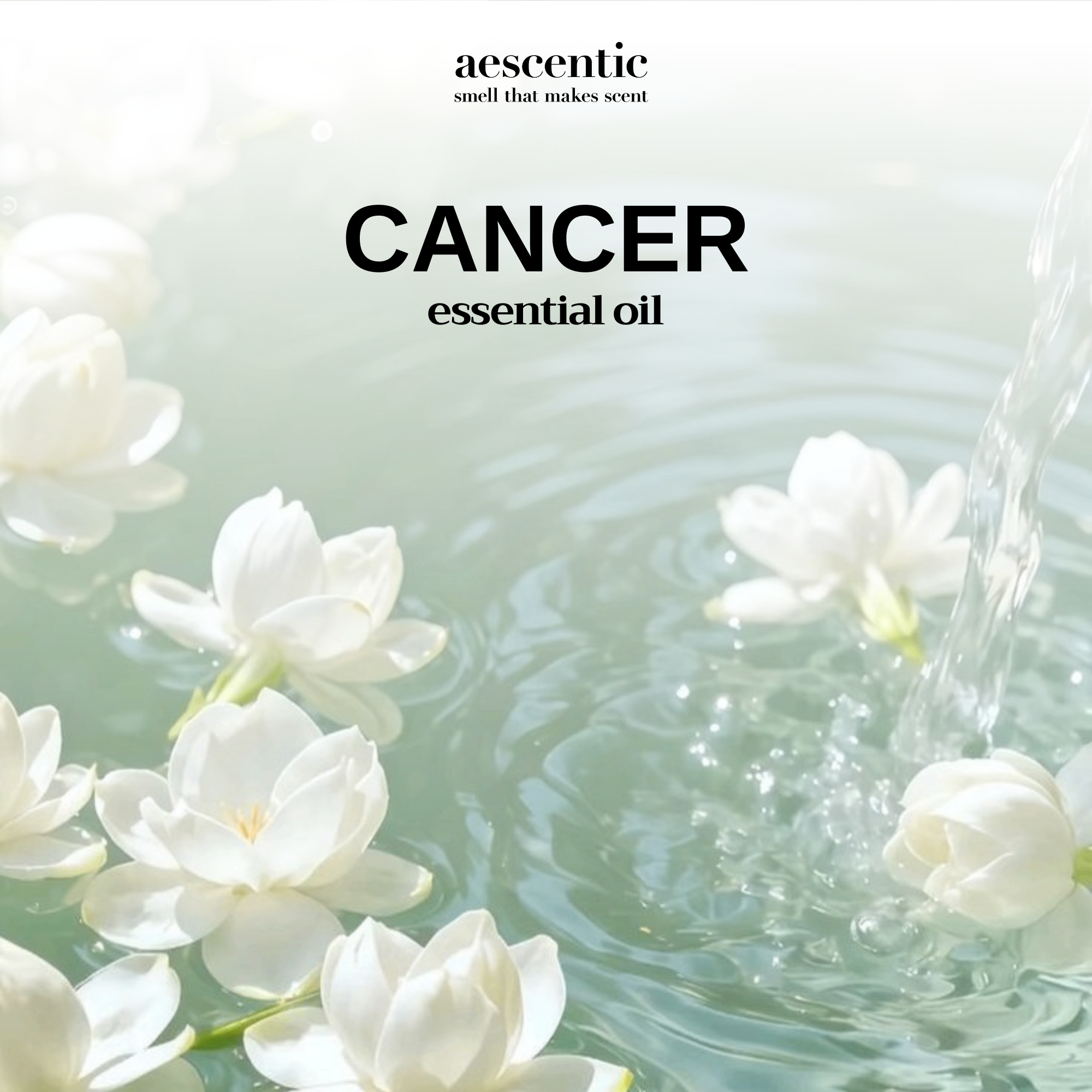 Tinh Dầu Khuếch Tán - CANCER