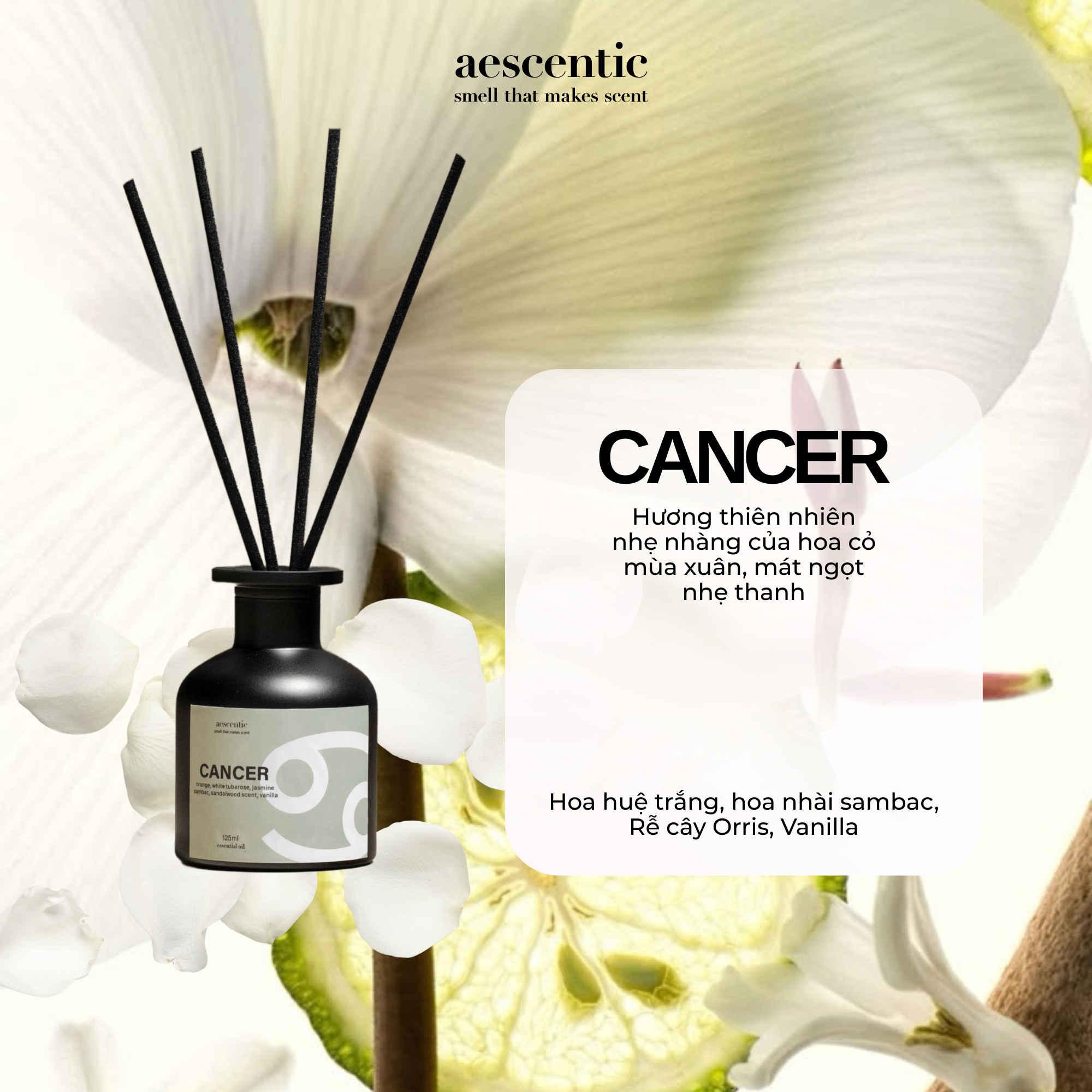 Tinh Dầu Khuếch Tán - CANCER