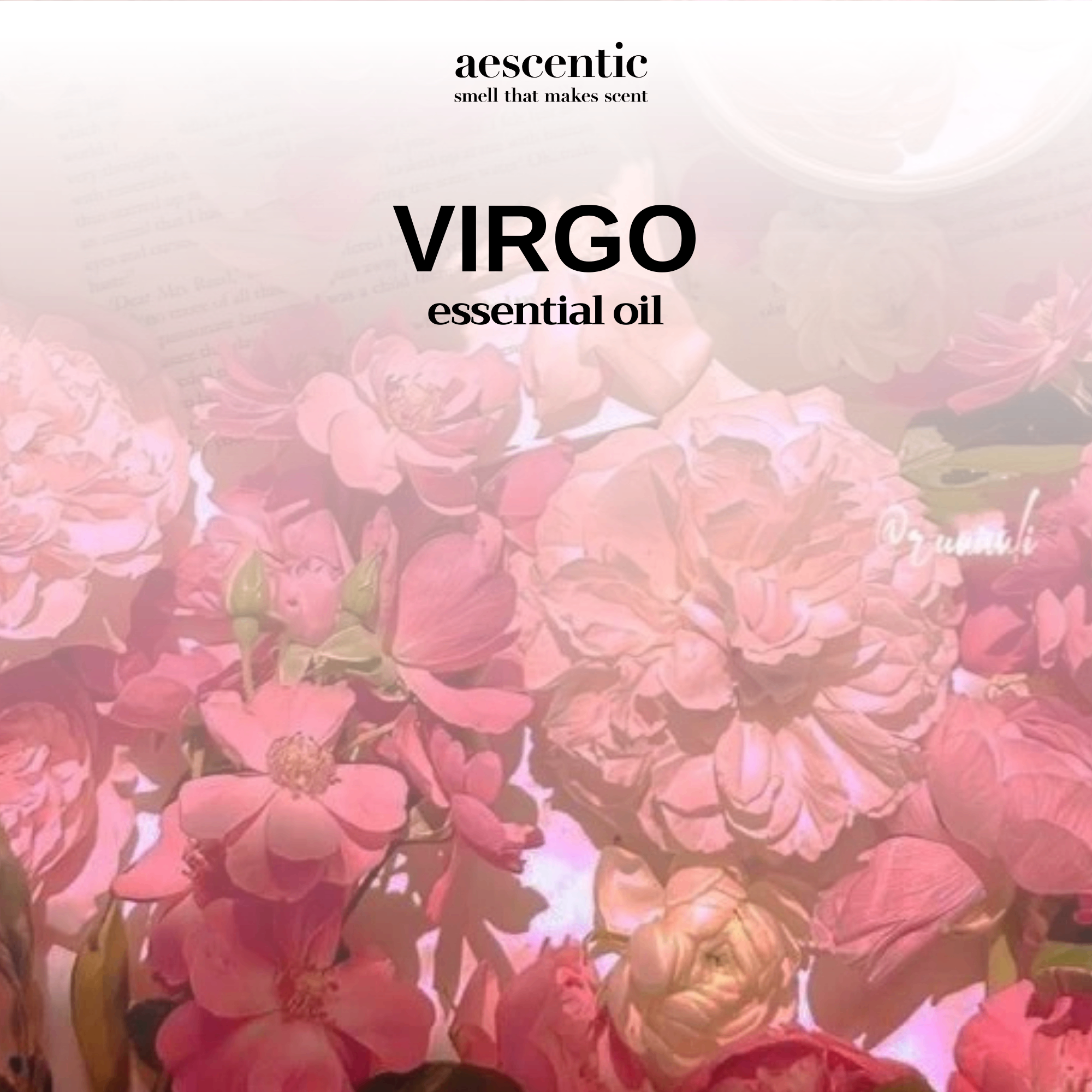 Tinh Dầu Khuếch Tán - VIRGO