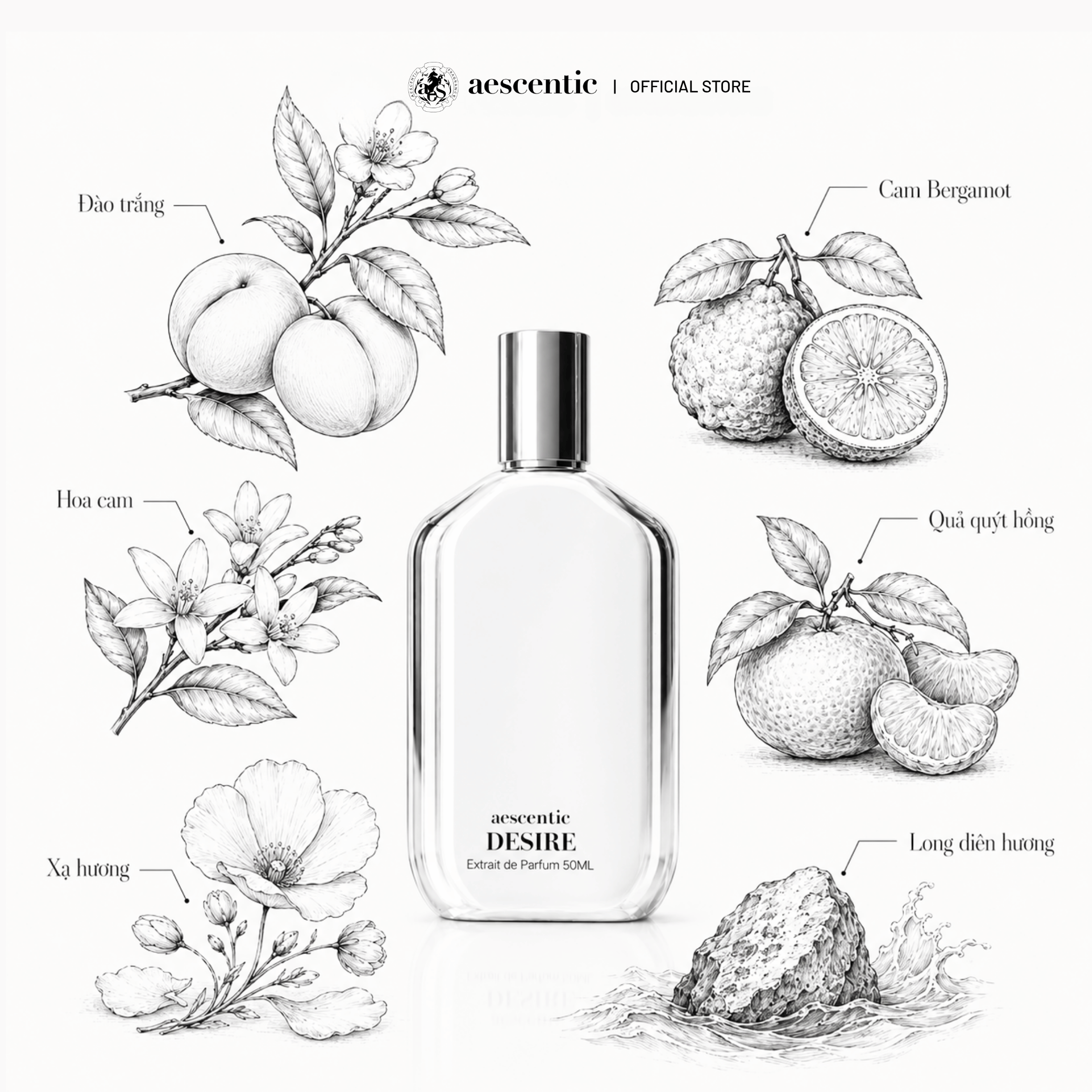 Nước hoa Aescentic DESIRE