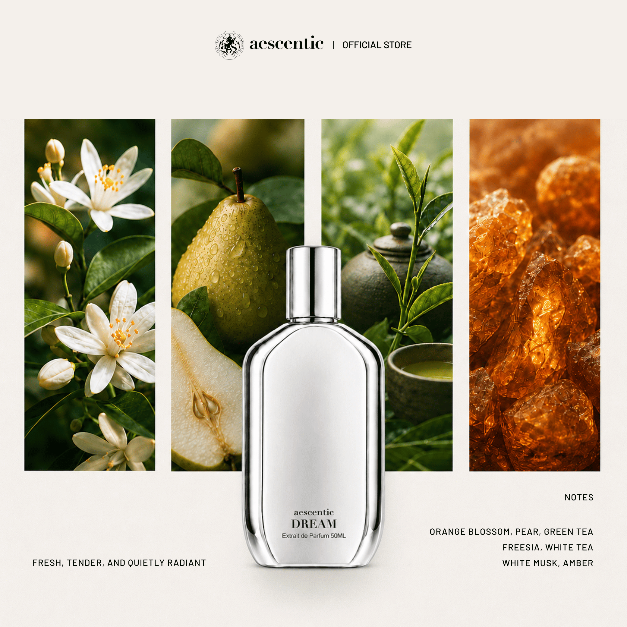 Nước hoa Aescentic DREAM