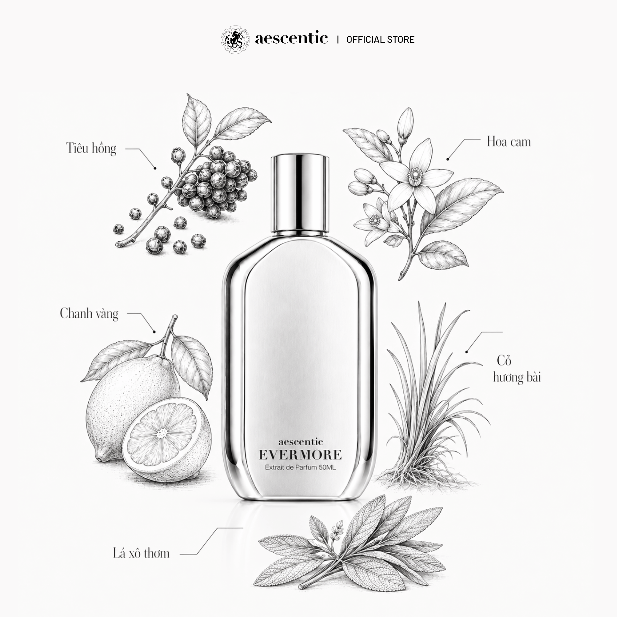 Nước hoa Aescentic EVERMORE