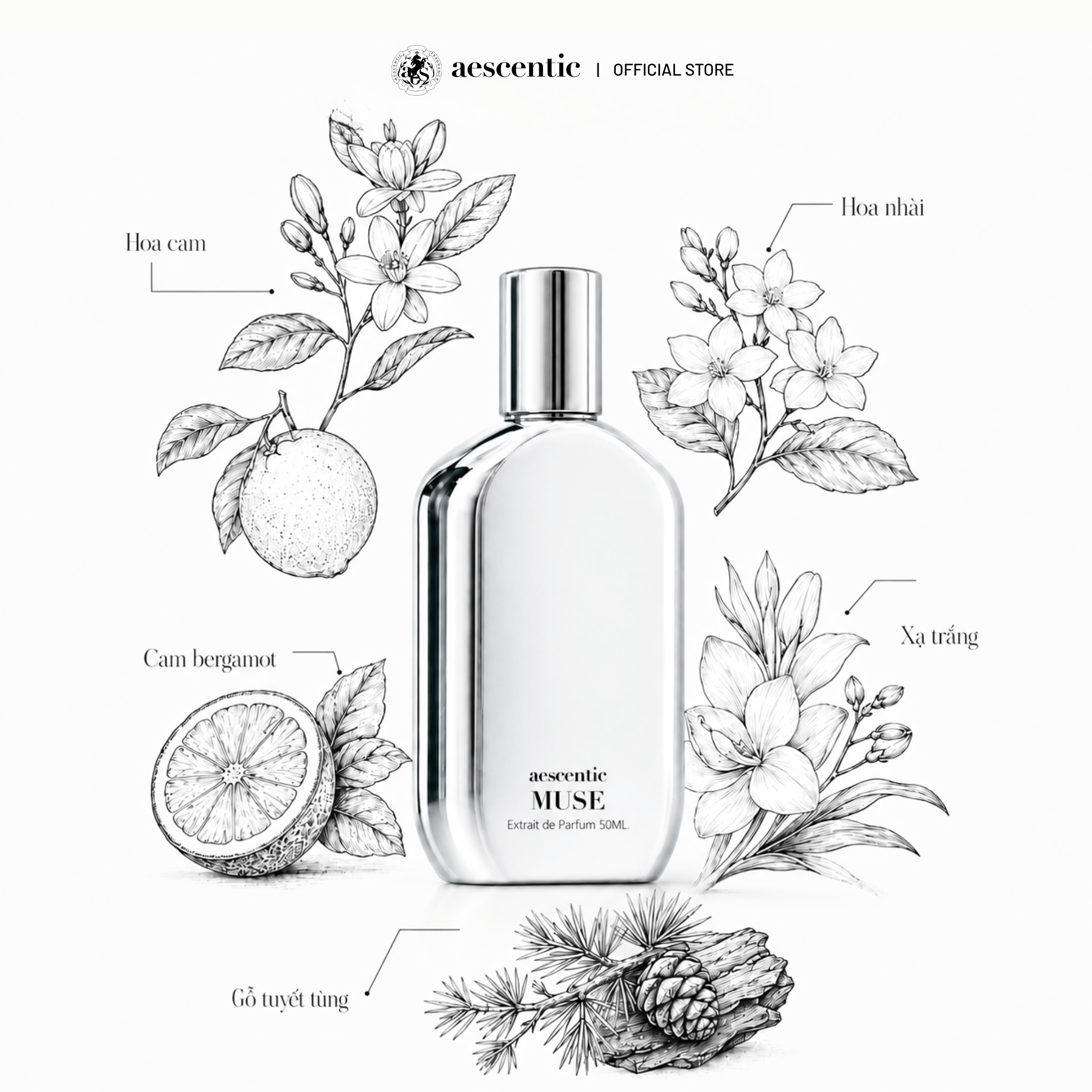 Nước hoa Aescentic MUSE