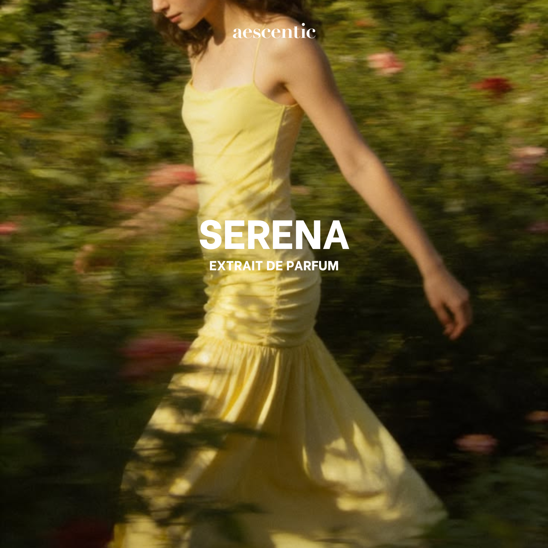 Nước hoa Aescentic SERENA