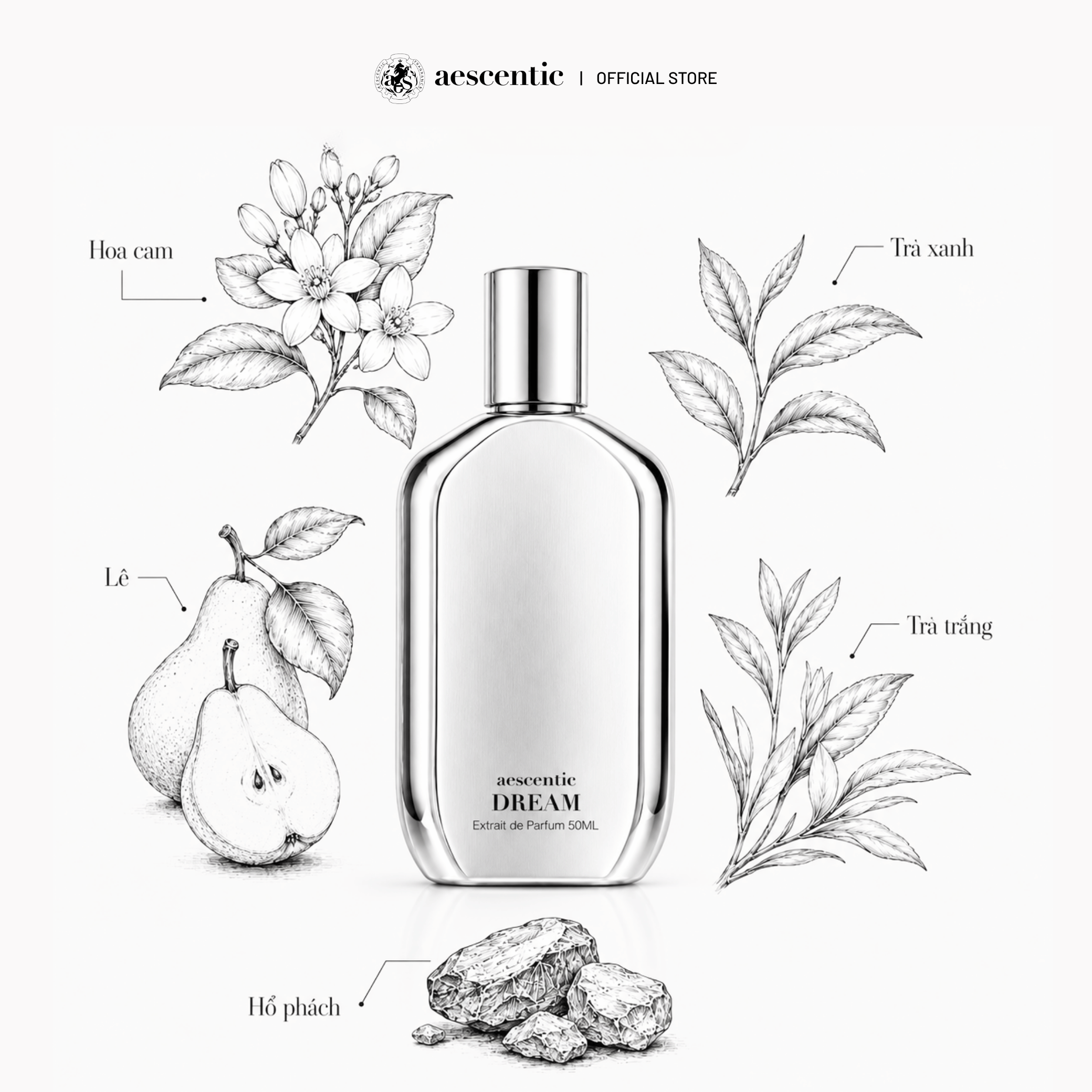 Nước hoa Aescentic DREAM