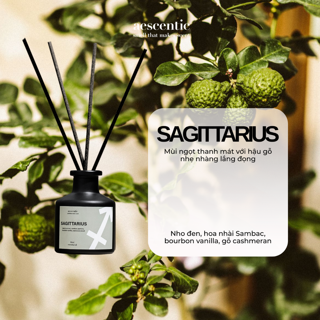 Tinh Dầu Khuếch Tán - SAGITTARIUS