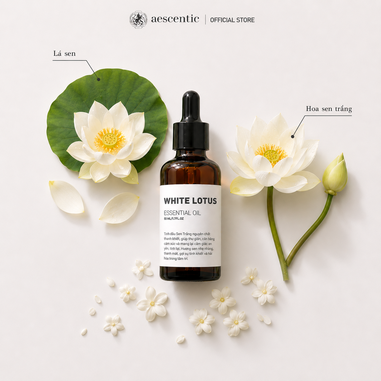 Tinh Dầu Nguyên Chất - WHITE LOTUS