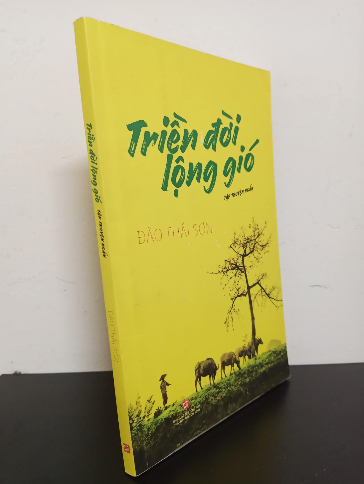 [Phiên Chợ Sách Cũ] Triền Đời Lộng Gió - Đào Thái Sơn 1401