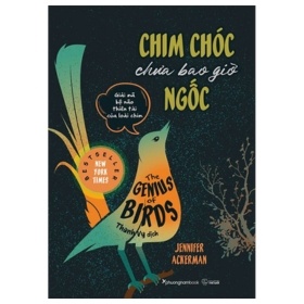 Chim Chóc Chưa Bao Giờ Ngốc - Jennifer Ackerman