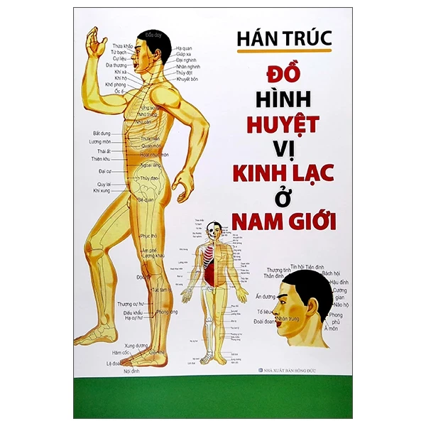 Đồ Hình Huyệt Vị Kinh Lạc Ở Nam Giới - Hán Trúc