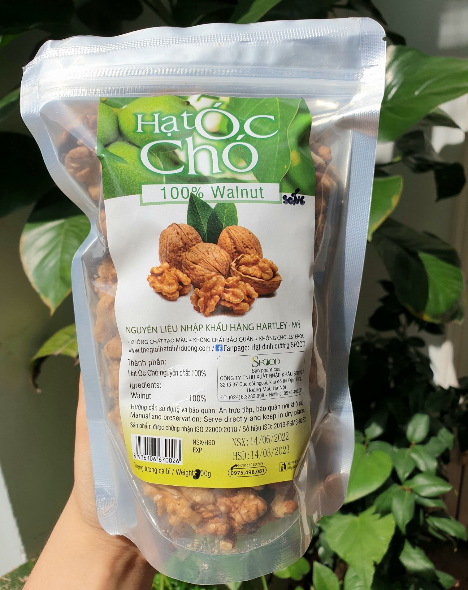 SF Óc chó sống (300g)