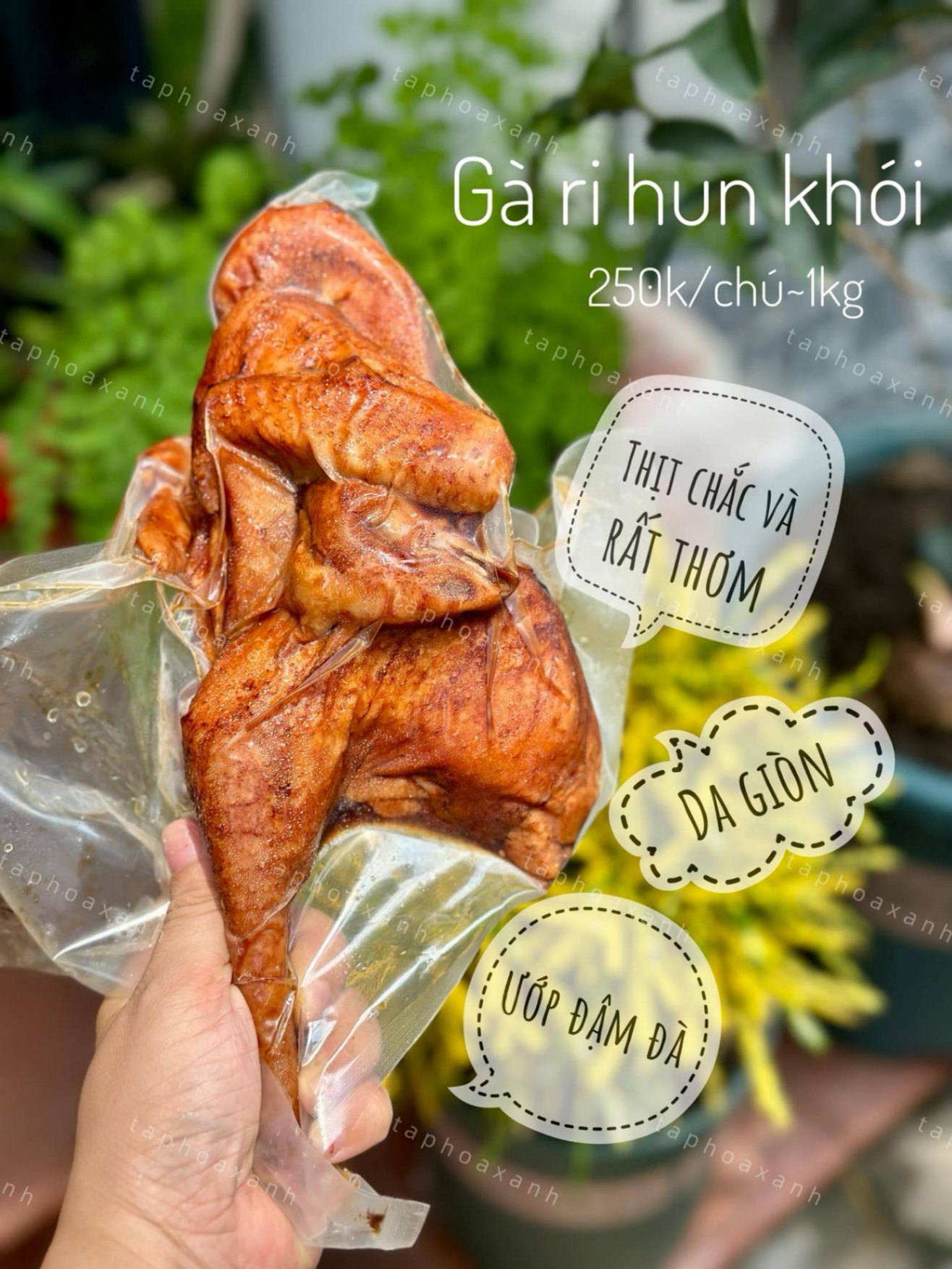 Gà Ri Hun Khói