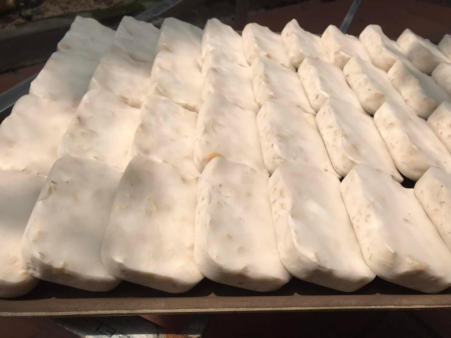 Tempeh Hạt Điều (500g)