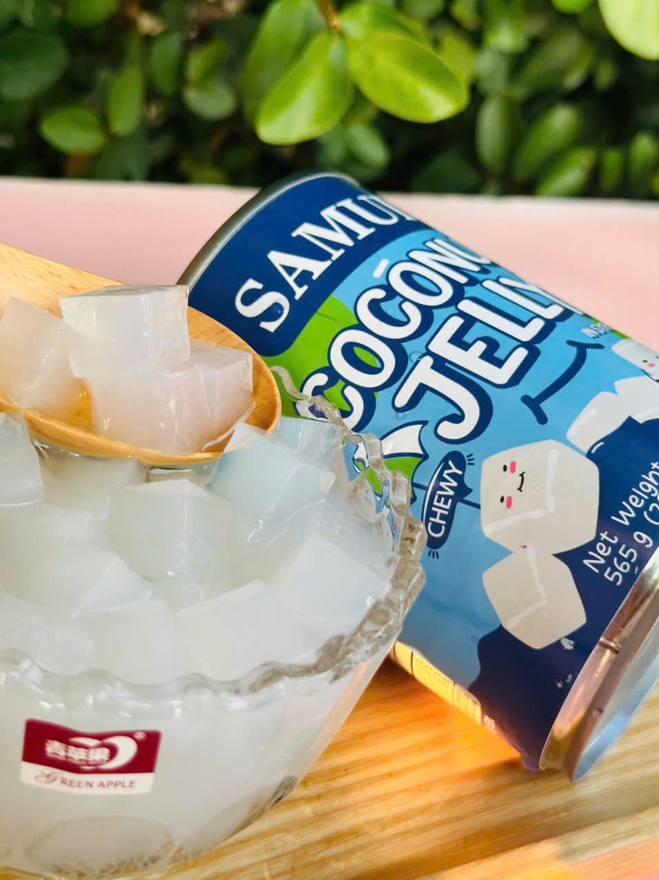 Thạch dừa SAMUI (565g)
