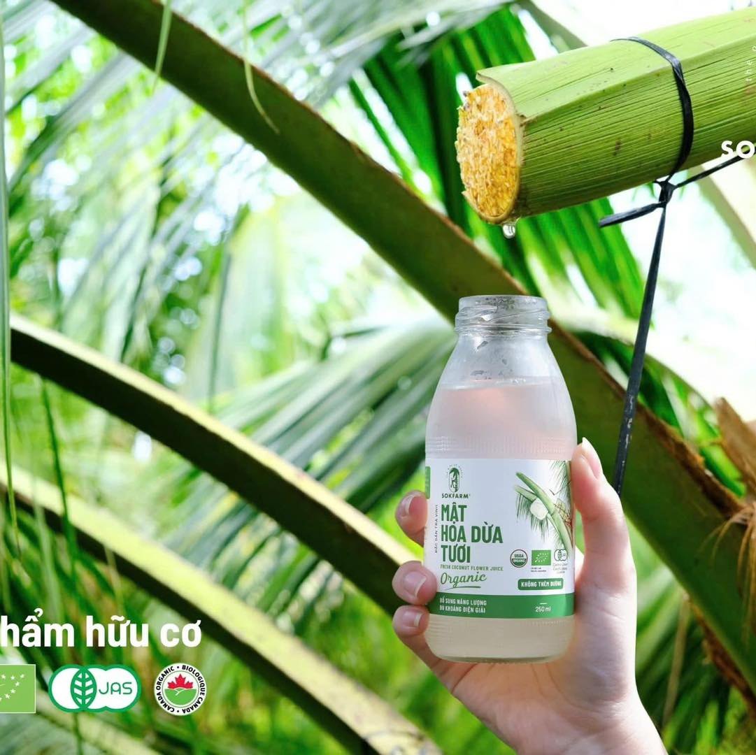 Mật Hoa Dừa tươi SokFarm (Thủy tinh - 250ml)