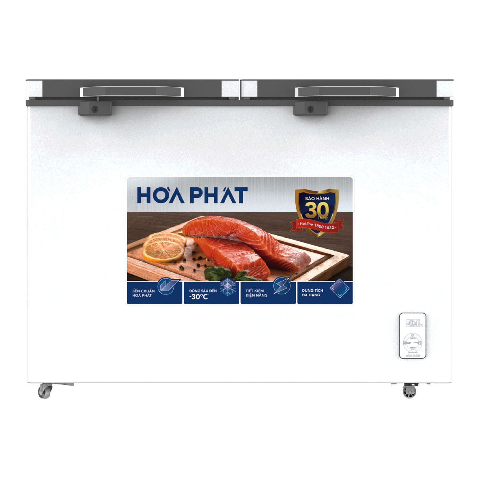 Tủ đông Hòa Phát HPF AD6352.T1 1 ngăn 2 cánh kính