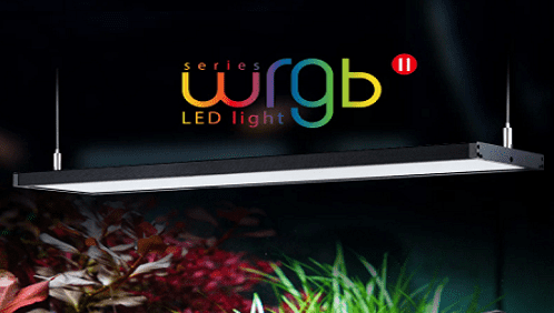 ĐÈN WRGB LÀ GÌ, ĐÈN THUỶ SINH WRGB, SO SÁNH ĐÈN WRGB VÀ RGB