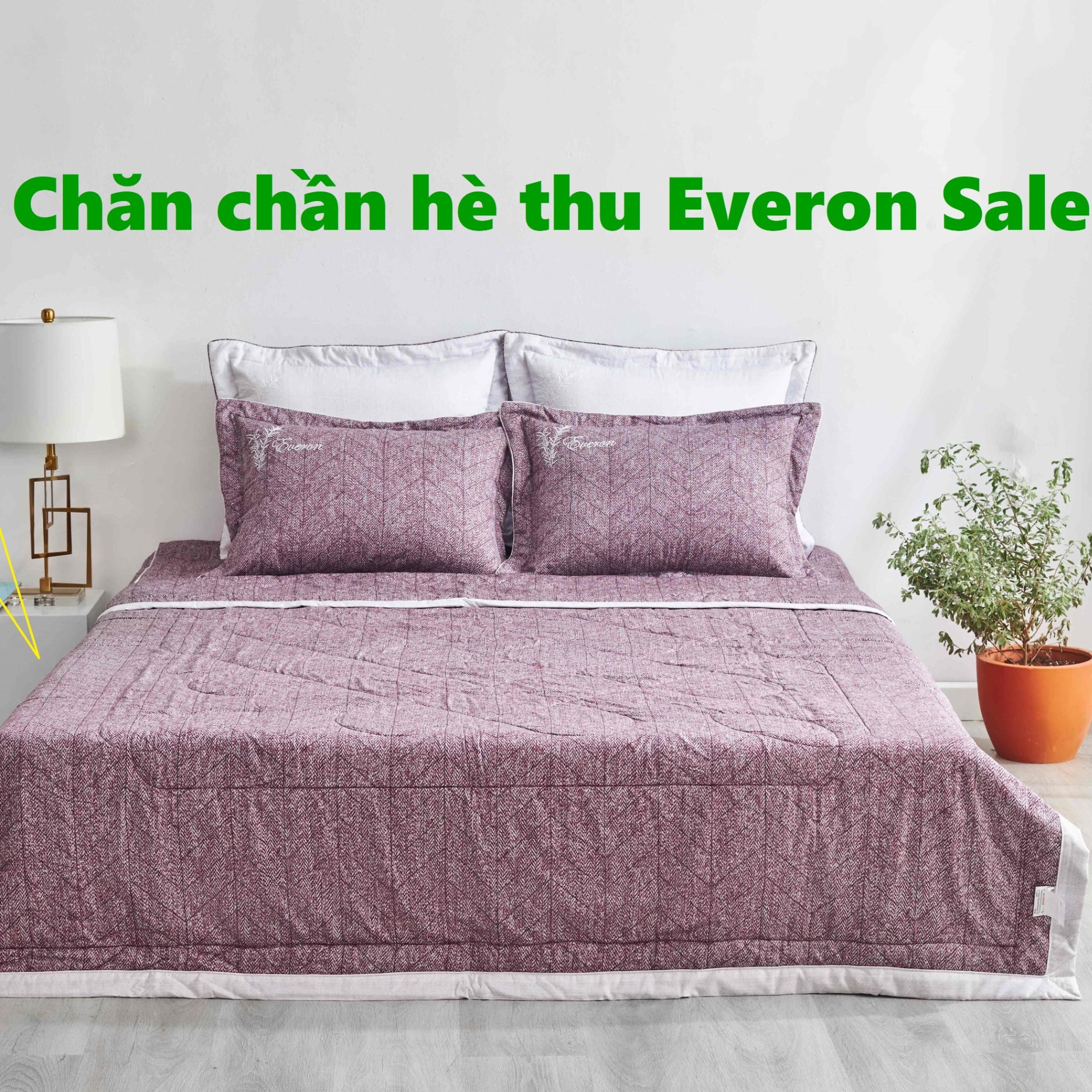 Chăn hè thu Everon EPM 21065 vải Modal màu tím cẩm