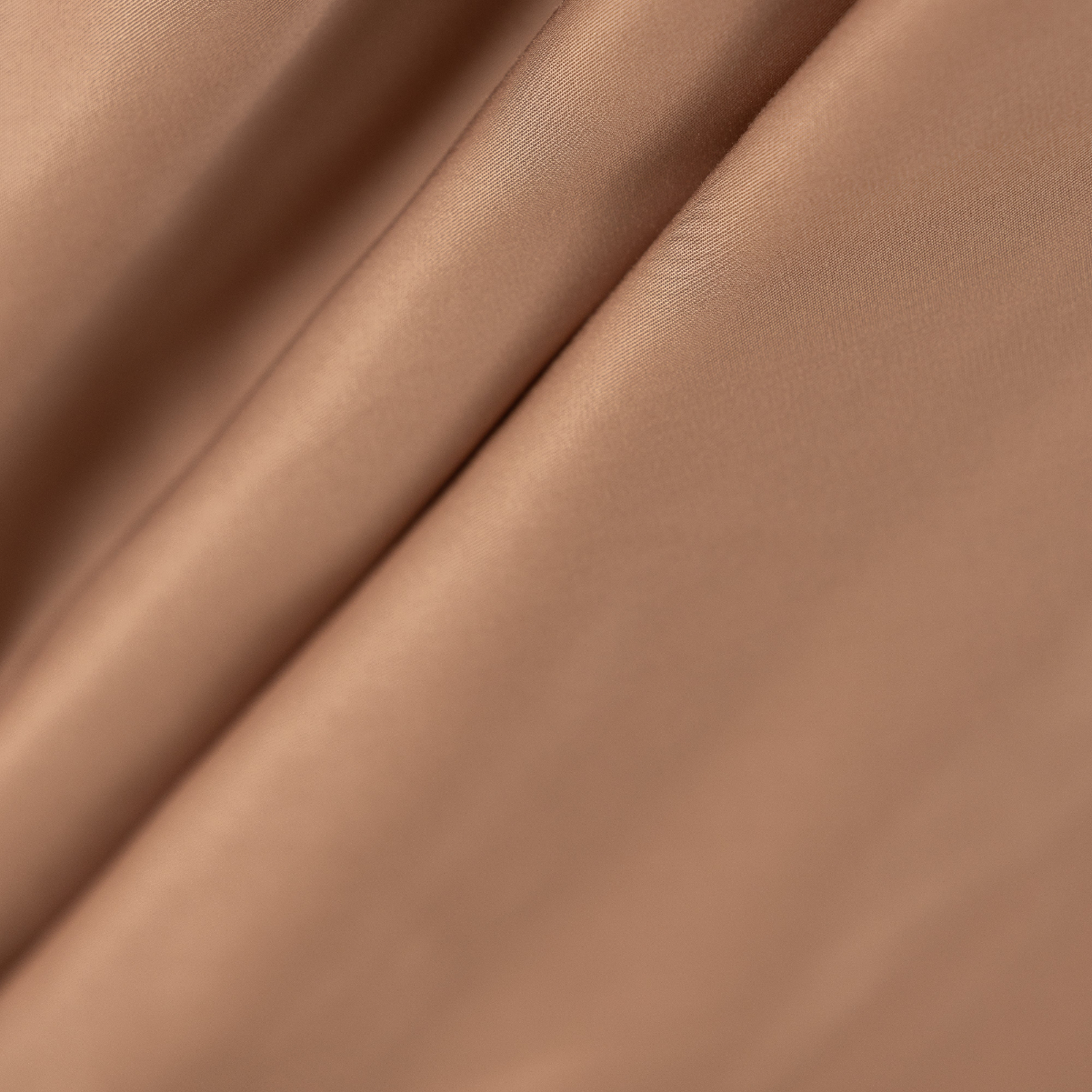 05_BSL710_02.jpg