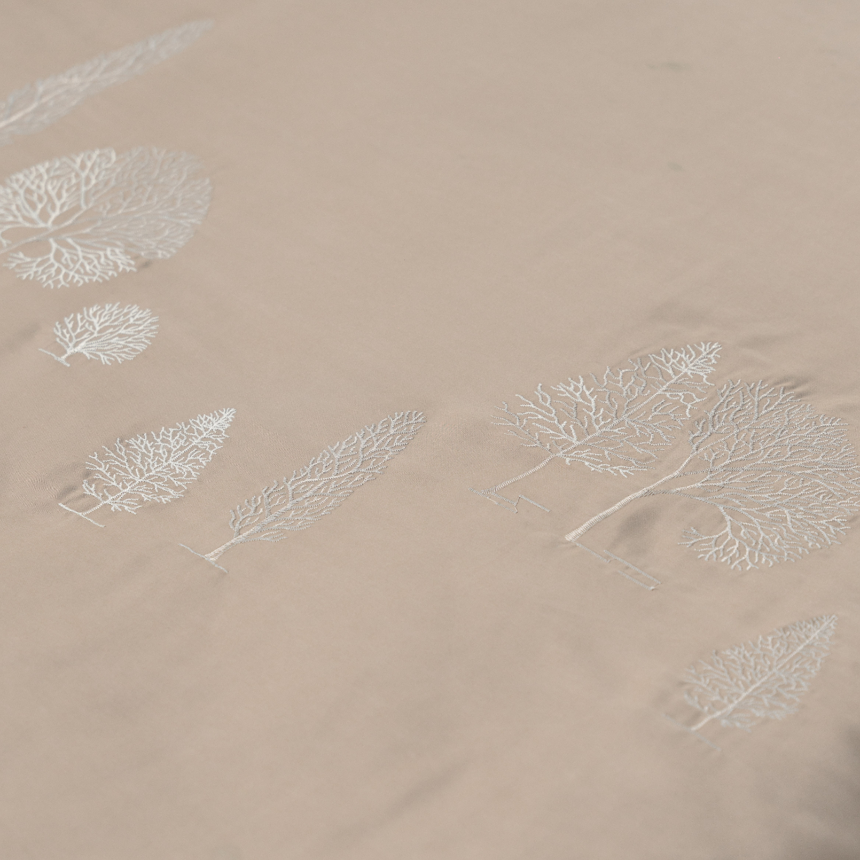 06_Pine_ESTMC27006_02.jpg