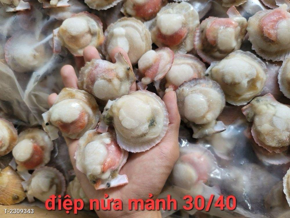 SÒ ĐIỆP TÁCH NỬA MẢNH bịch 1kg (giao tphcm)