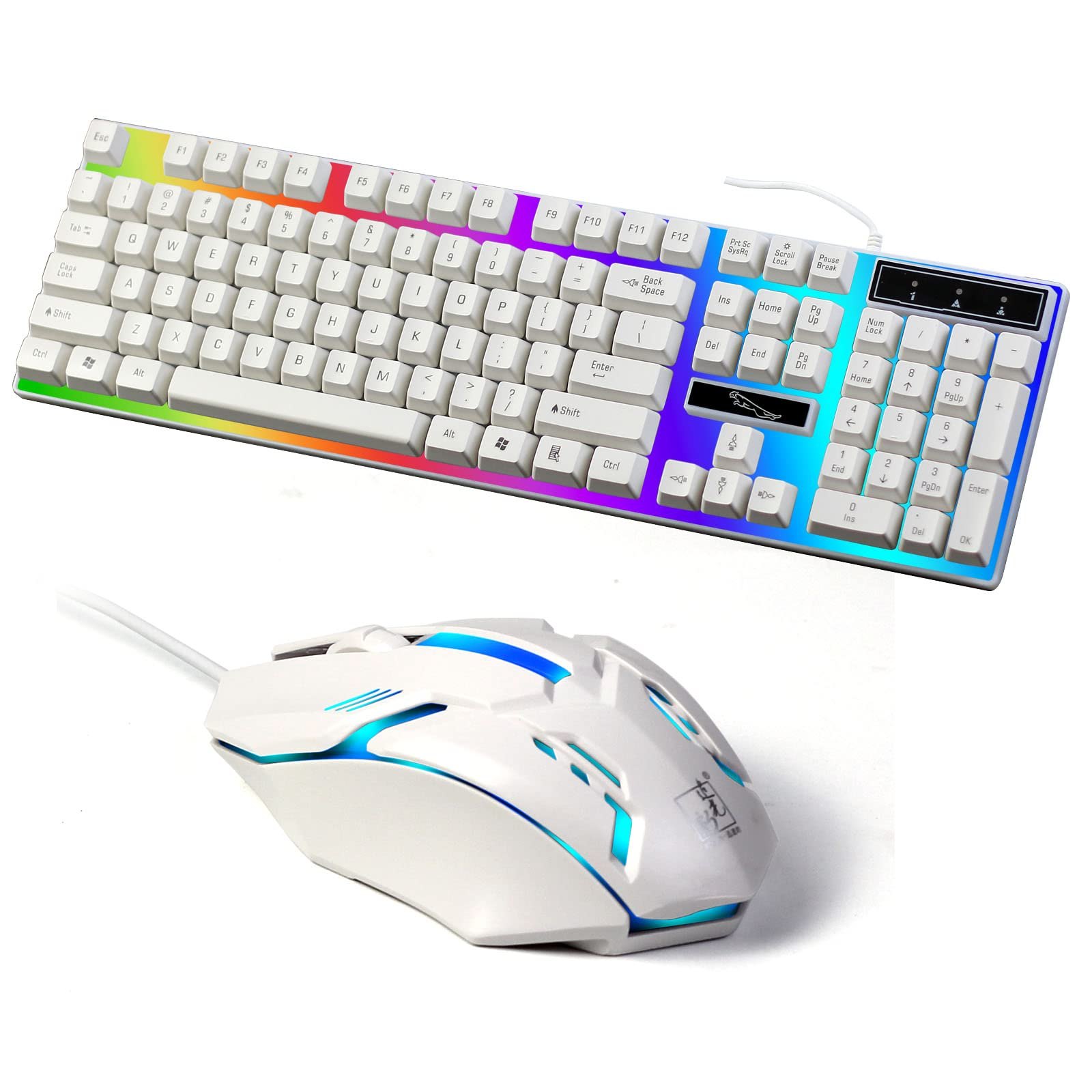 Combo Keyboard + Mouse G21 WHITE