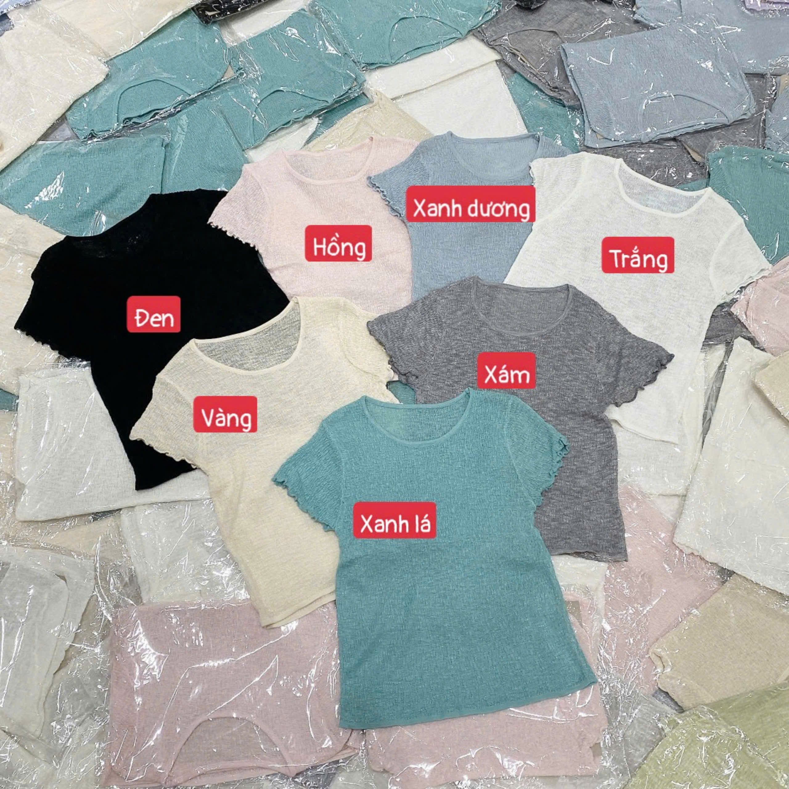 8576-1# Áo len cổ tròn cộc tay 7 màu (frsz)