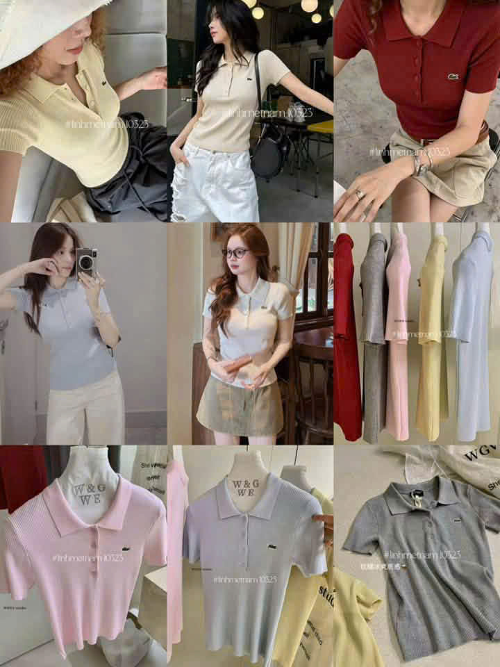 W10323# Áo polo WGWE cá sấu (frsz)