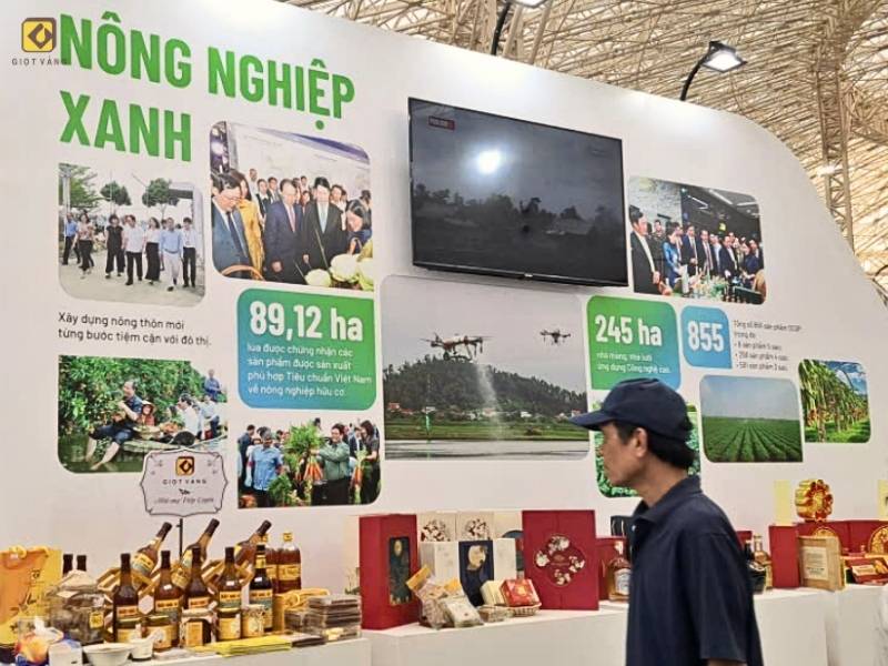 MAT-ONG-HOA-VAI-THANH-HA-CUNG-THANH-PHO-HAI-PHONG-VUON-TAM-TAI-TRIEN-LAM-THANH-TUU-DAT-NUOC_Gian-trung-bay-thanh-pho-Hai-Phong-Trien-lam-thanh-tuu-dat-nuoc.jpg